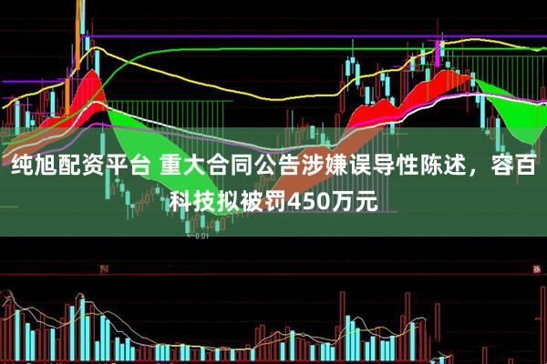 纯旭配资平台 重大合同公告涉嫌误导性陈述，容百科技拟被罚450万元